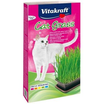 Recompense Pisici Vitakraft Cat Grass, 120 g