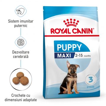 Royal Canin Maxi Puppy hrana uscata caine junior