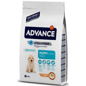 ADVANCE PUPPY Maxi, Pui şi orez