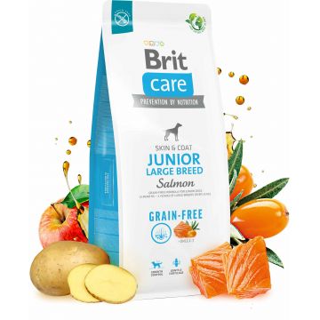 BRIT CARE Grain-free JUNIOR Large Breed, cu Somon şi Cartofi