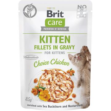 BRIT CARE Plic pentru KITTEN, File de pui în sos 85g