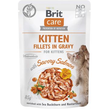 BRIT CARE Plic pentru KITTEN, File de somon în sos 85g