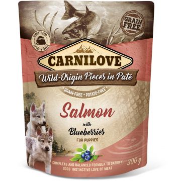 CARNILOVE Plic pentru PUPPY, Pate cu Somon şi afine 300g