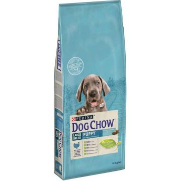 DOG CHOW Hrană uscată PUPPY pt căţei Talie Mare, cu Curcan şi Orez