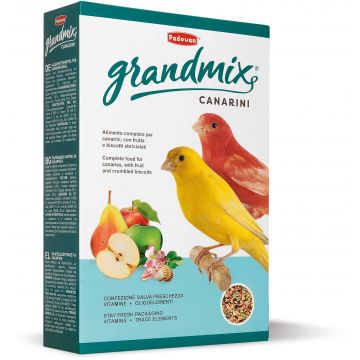 PADOVAN Grandmix Canar, Hrană pentru canari 400g