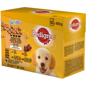 PEDIGREE Pachet plicuri JUNIOR, cu Pui, Miel, Vită şi Pasăre 12x100g