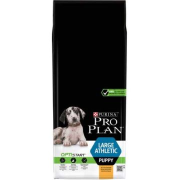 PRO PLAN Hrană uscată PUPPY Large Breed Athletic cu Pui