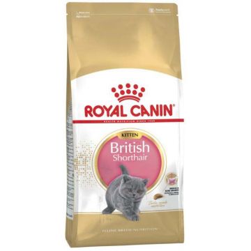 ROYAL CANIN FBN KITTEN British Shorthair