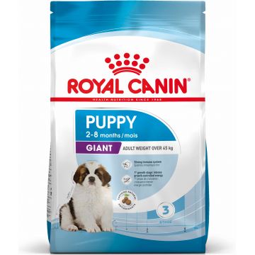 ROYAL CANIN SHN Giant PUPPY (vârsta până la 8 luni)