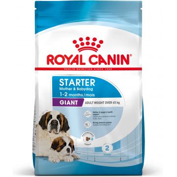 ROYAL CANIN SHN Giant Starter 15kg