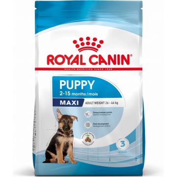 ROYAL CANIN SHN Maxi PUPPY (vârsta până la 15 luni)