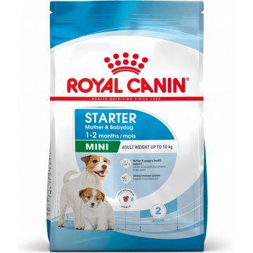 ROYAL CANIN SHN Mini Starter Mother & Babydog pt. femele gestante şi căţei