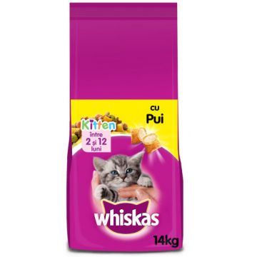 WHISKAS JUNIOR Hrană uscată pentru pisicuţe, cu Pui