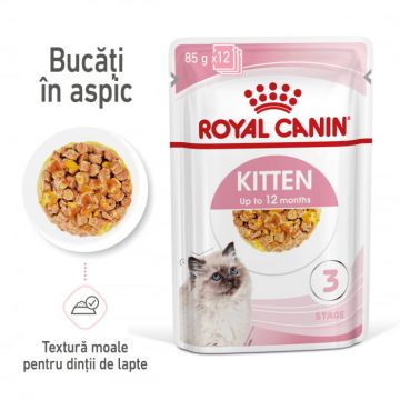 Royal Canin Kitten hrana umeda pisica (aspic), 12 x 85 g
