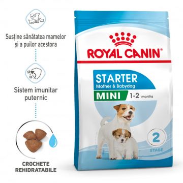 Royal Canin Mini Starter Mother Babydog, mama si puiul, hrana uscata caine, 8 kg
