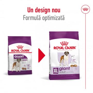 Royal Canin Giant Adult hrana uscata caine, 15 kg