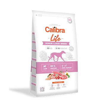 Calibra Dog Life Junior Large Breed Lamb 2.5 kg