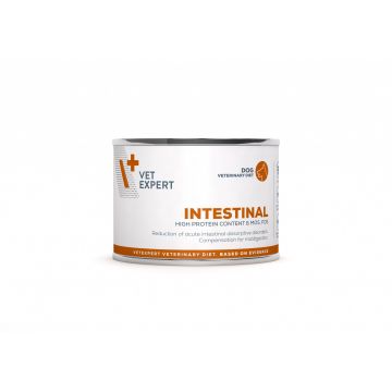 4T Dieta Veterinara caini Intestinal Dog, VetExpert, conserva, 200g