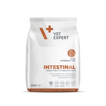 4T Dieta Veterinara INTESTINAL CAT, VetExpert, 250g