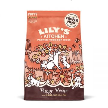 Lily's Kitchen Dog Chicken & Salmon Puppy Recipe Dry Food 1 kg