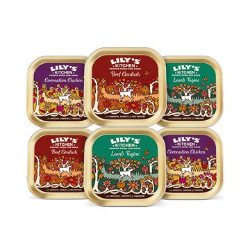 Lilys Kitchen World Dishes Trays Multipack 6x150 g