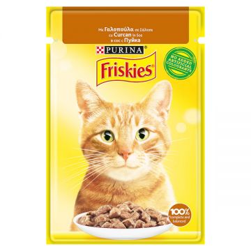 Friskies Cat Turkey Pouch 85g