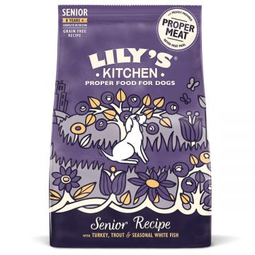 Lily's Kitchen for Dogs Complete Nutrition Adult 8 plus Salmon and Trout 1 kg