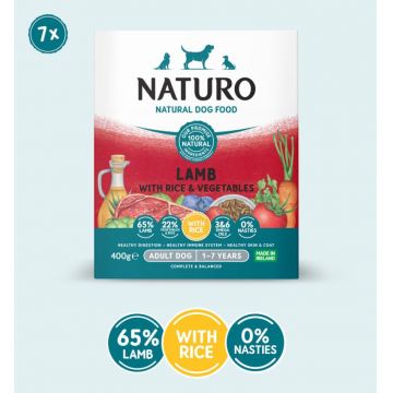 Caserola Naturo Adult cu Miel, Orez si Legume 400 gr