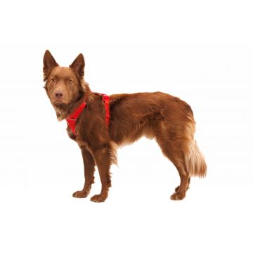 Ham Front Range Ruffwear - M - Red Canyon