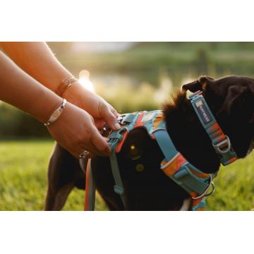 Ham Front Range Ruffwear - S - Spring Mountains