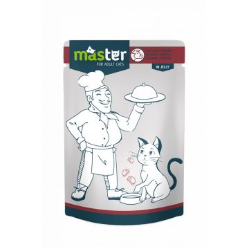 Master Cat - Hrana umeda profesionala - Carne - 80g