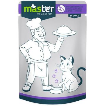 Master Cat - Hrana umeda profesionala - Iepure - 80g