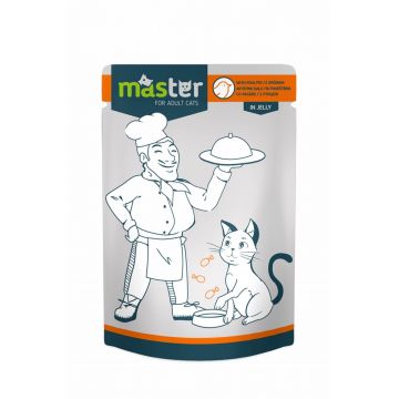 Master Cat - Hrana umeda profesionala - Pasare - 80g