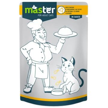 Master Cat - Hrana umeda profesionala - Pui - 80g