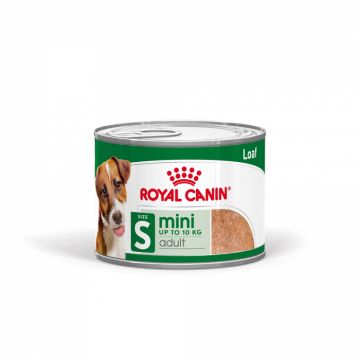 Royal Canin Mini Adult hrana umeda caini (pate), 12 x 195g