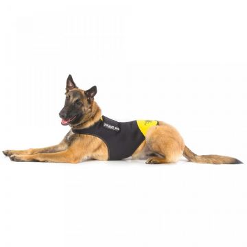 Vesta neopren Julius K9 - XL - Galben