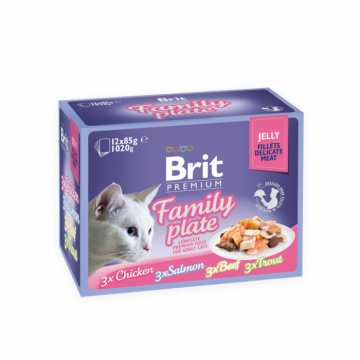 Brit, Hrana umeda pisici, family plate in jeleu, 12x85g - Copie