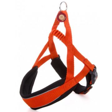 Ham confort orange 52-56 cm