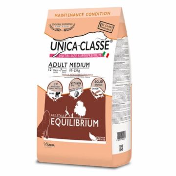 Hrana uscata pentru caini Unica Classe Adult Mediu EQUILIBRIUM, cu Miel, 3kg