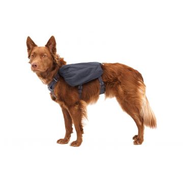 Rucsac caini Front Range Day Pack Ruffwear - M - Basalt Gray