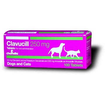 CLAVUCILL - 250MG (BLS*10TB)