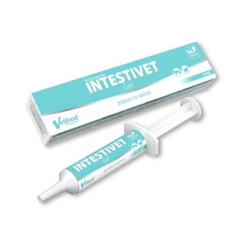 VetFood INTESTIVET Gel - 15 ML