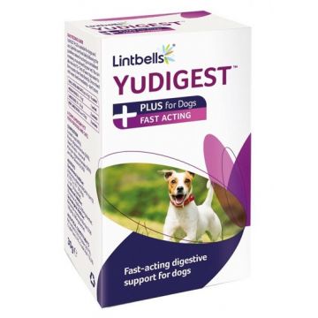 YuDIGEST PLUS FOR DOGS - 6 PLICURI