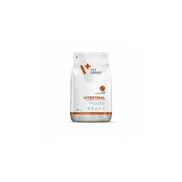 4T DIETA VETERINARA INTESTINAL DOG 2 KG