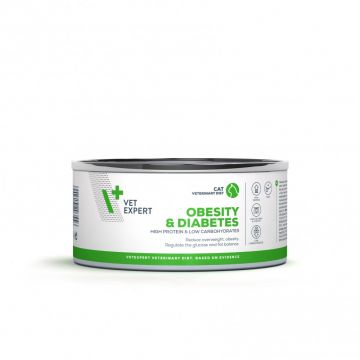 4T DIETA VETERINARA PISICI OBESITY& DIABETES VETEXPERT, CONSERVA, 100G