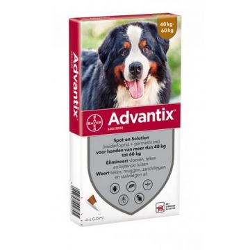 Advantix 600 - Pipeta Antiparazitara Caini (40-60 kg) - 1 Pipeta