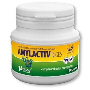 AMYLACTIV DIGEST - 90 CAPSULE