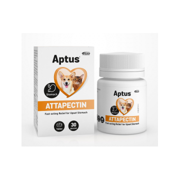 APTUS ATTAPECTIN X 30 TABLETE