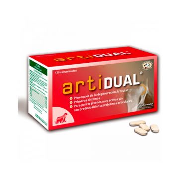 Artidual - 120 comprimate