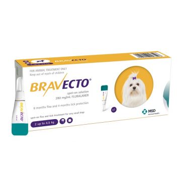 BRAVECTO CAINE SOLUTIE SPOT-ON XS 112.5MG (2-4.5 KG) - 1 PIPETA